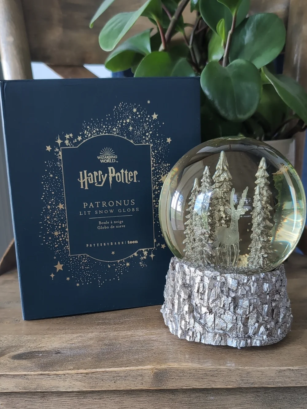 Pottery Barn new box